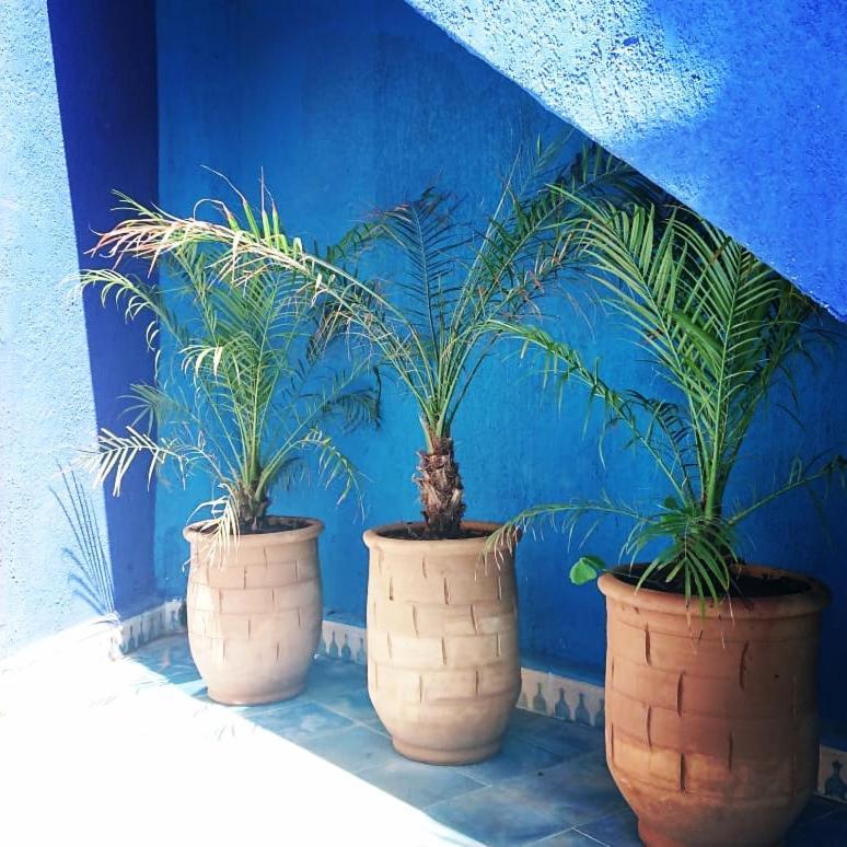 Dar Massaneh Essaouira